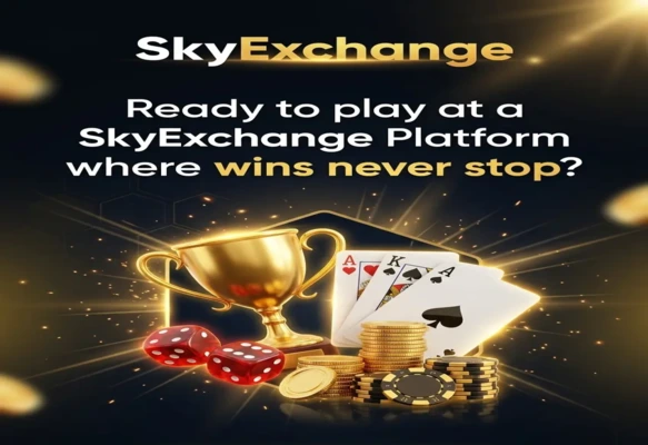 What is SkyExchange